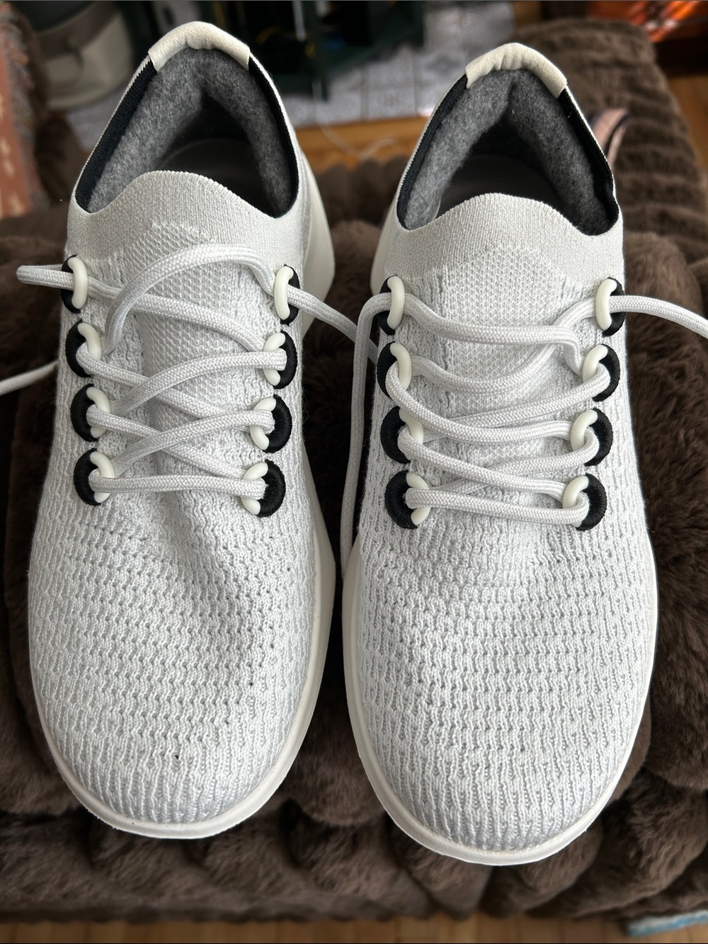 Allbirds sneakers